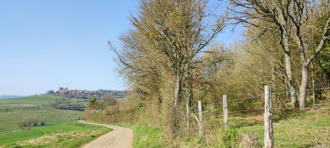 Photo of Others in Semarey