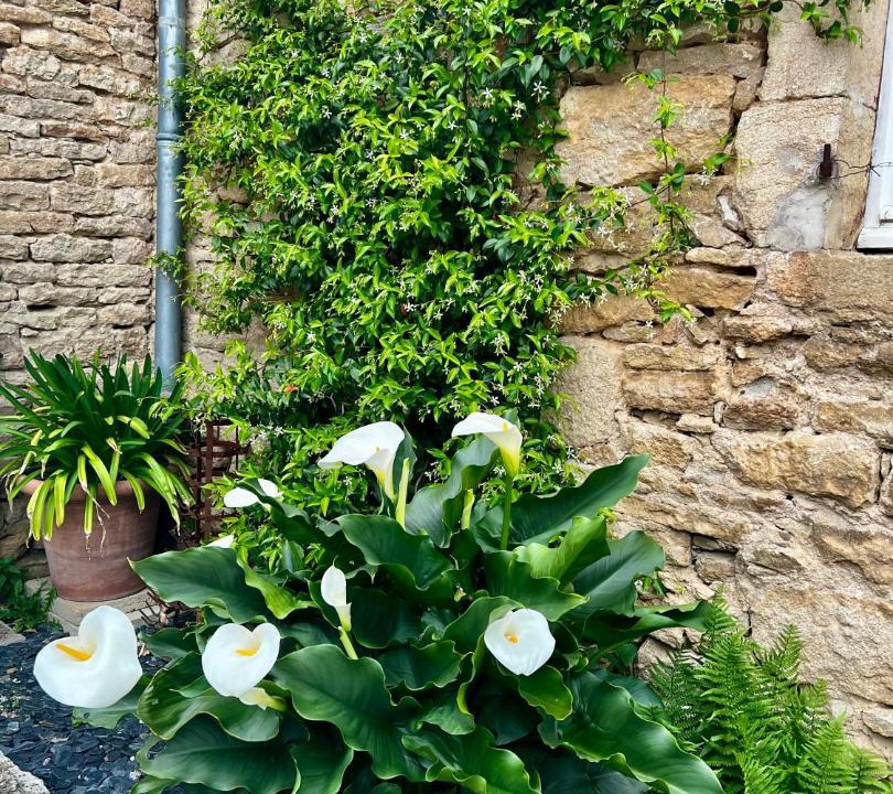 Photo of Others in Semarey