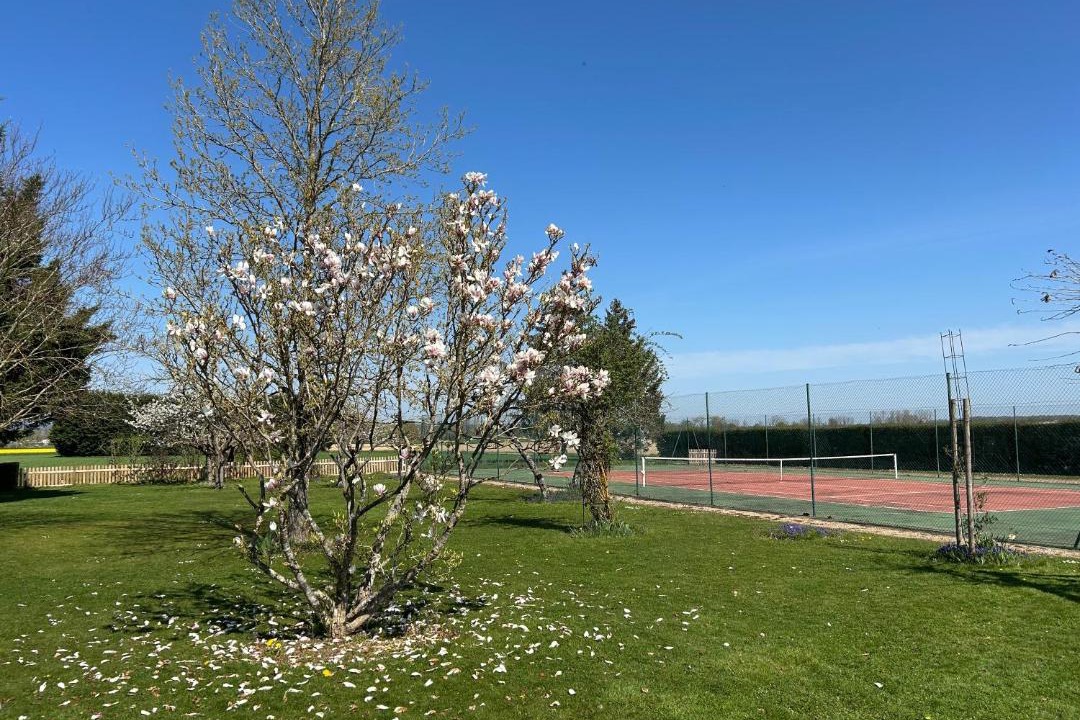 Photo of Outdoor in Demigny