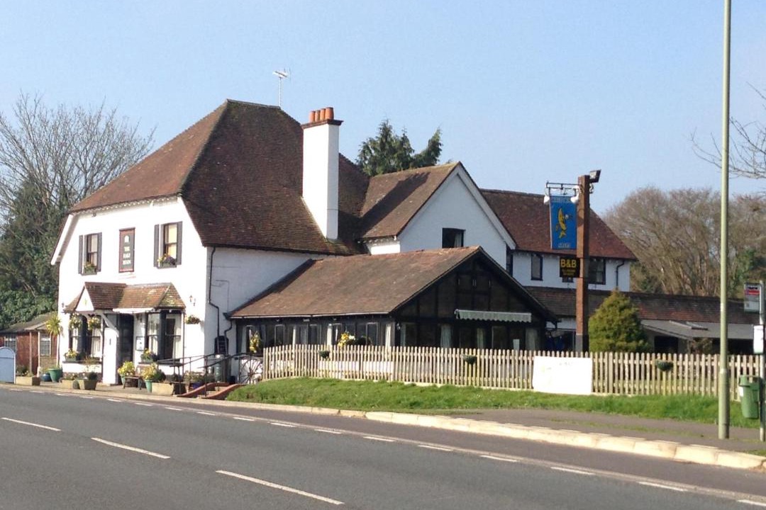 Photo of Others in Petersfield