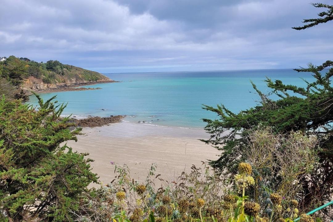 Photo of Others in Plelo