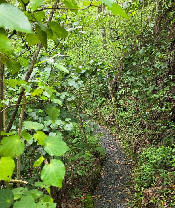 Photo of Outdoor in Waitao