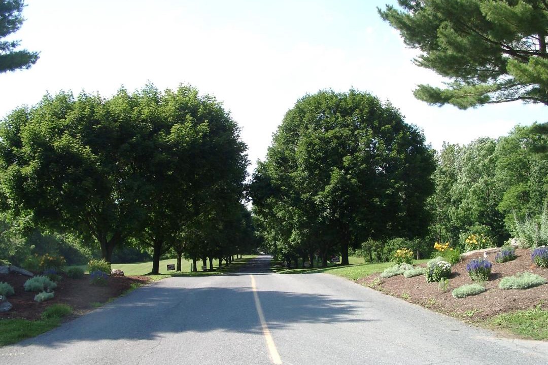 Photo of Others in Bausman