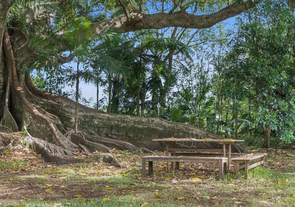 Photo of Others in Teven