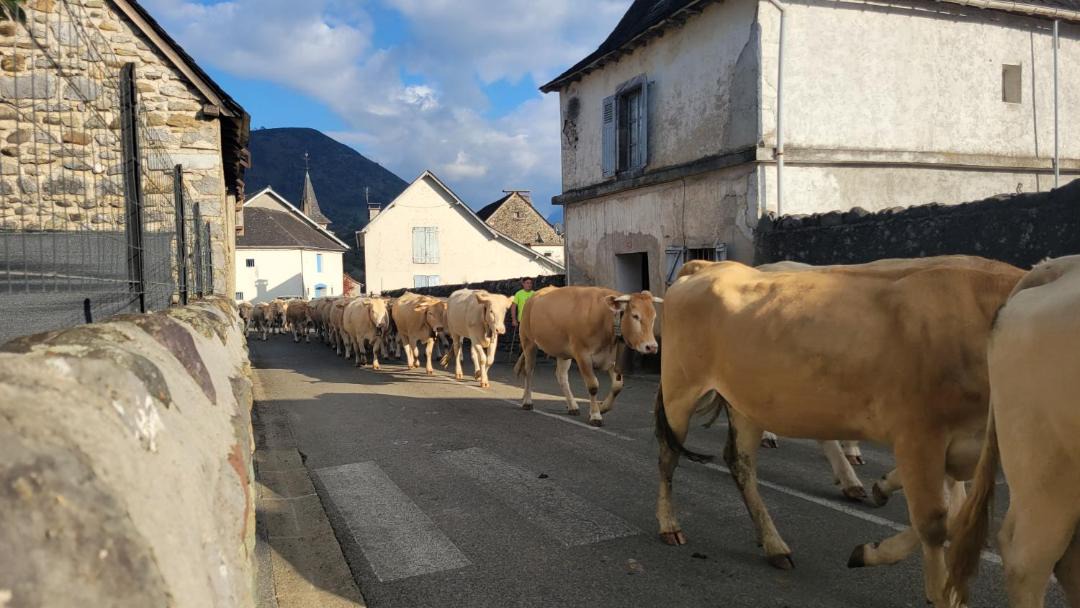 Photo of Others in Issor