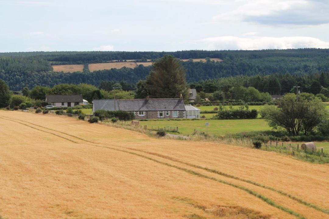 Photo of Others in Fochabers