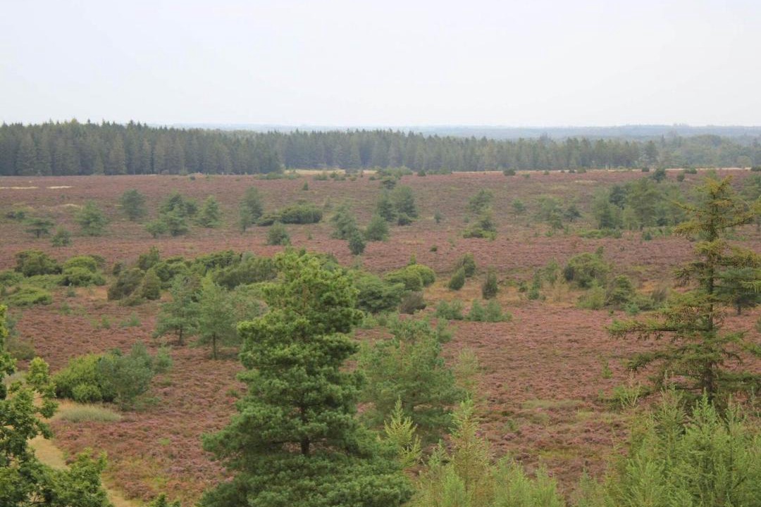 Photo of Others in Hovborg
