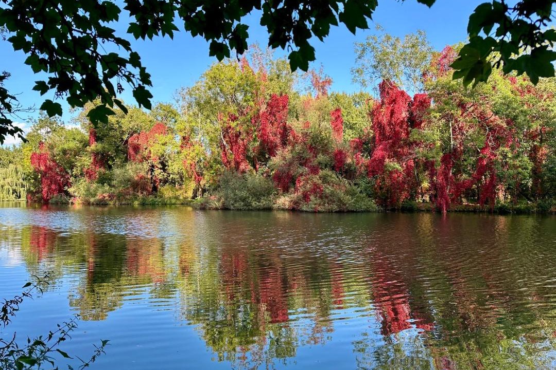 Photo of Others in Goring