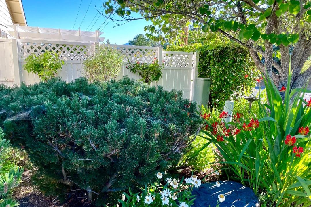 Photo of Others in Grants Pass