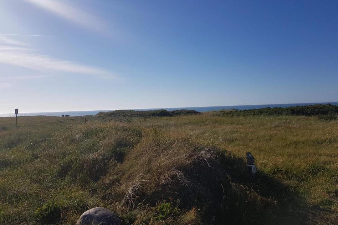 Photo of Others in Skallerup Klit