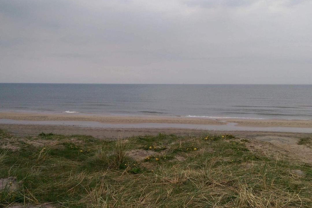 Photo of Others in Skallerup Klit