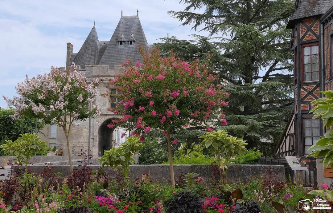 Photo of Others in Saint-Ouen