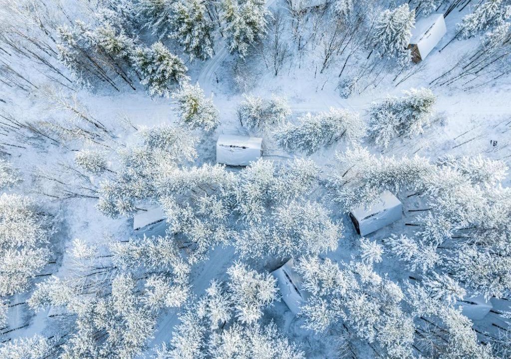 Photo of Others in Albany