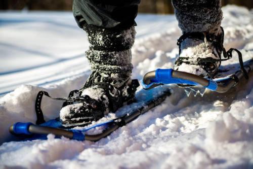 Photo of Others in Albany