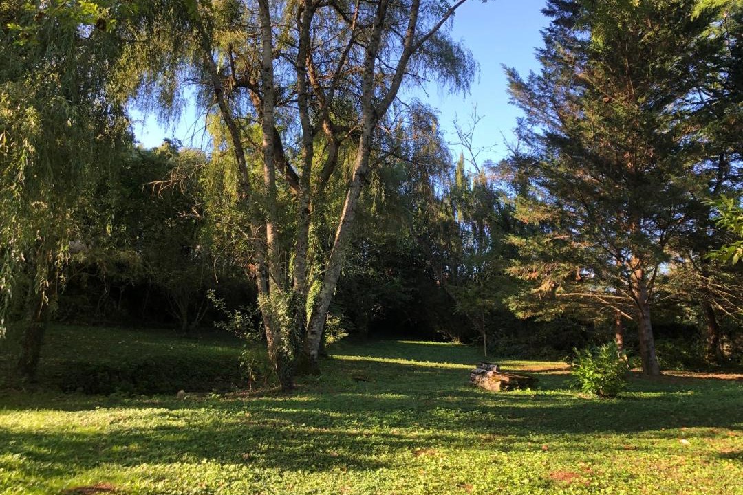 Photo of Others in Talcy