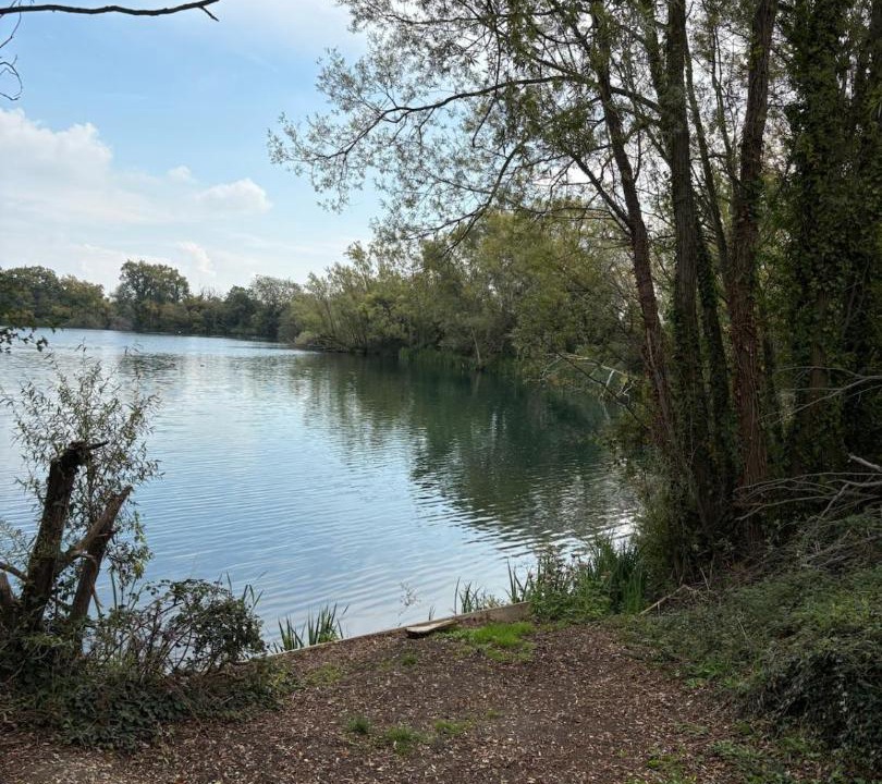 Photo of Others in Chichester