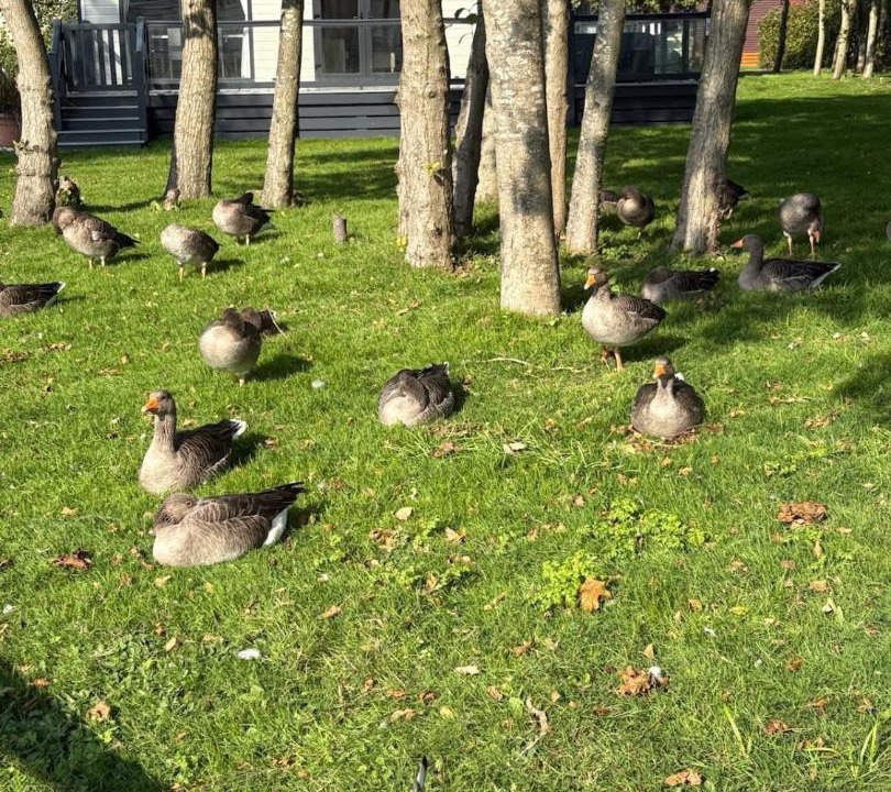 Photo of Others in Chichester