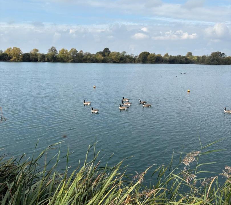 Photo of Others in Chichester