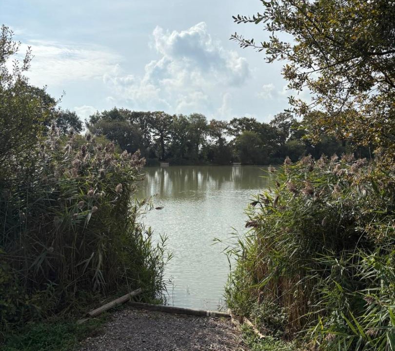 Photo of Others in Chichester