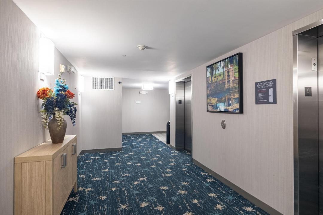 Photo of Others in Albany