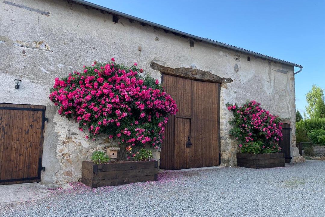 Photo of Others in Dinsac