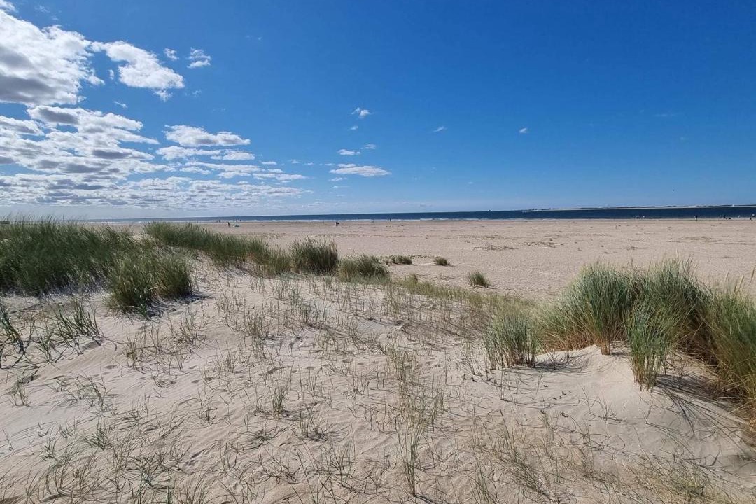 Photo of Others in Sønderstrand