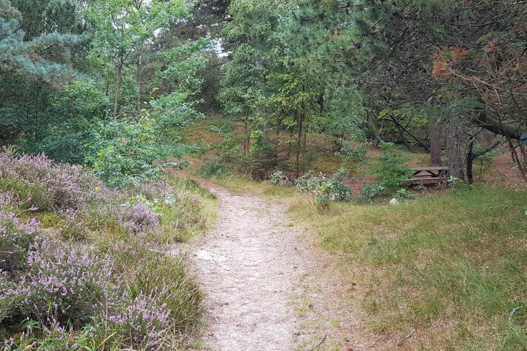 Photo of Others in Kongsmark