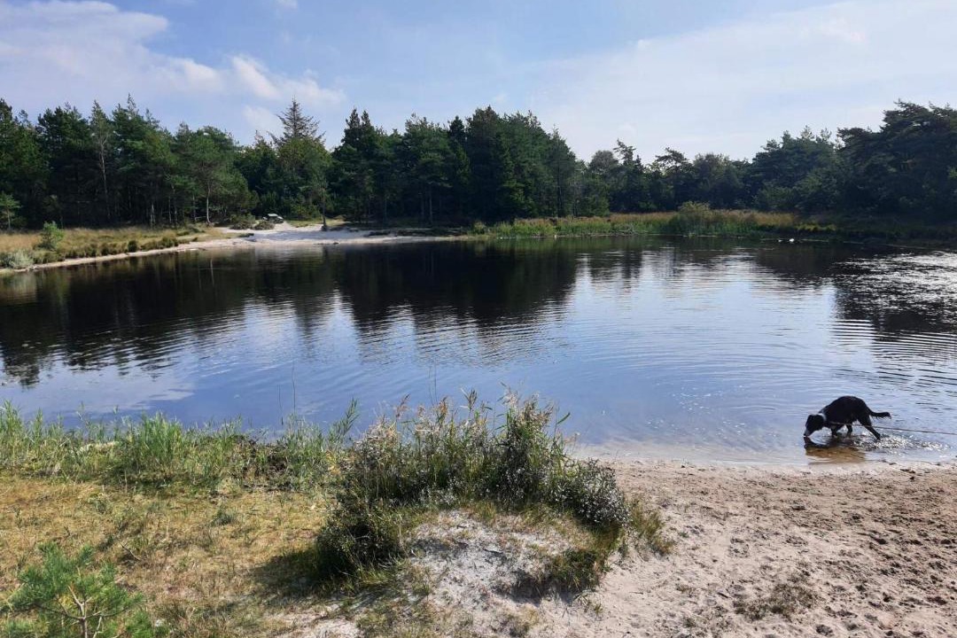 Photo of Others in Kongsmark