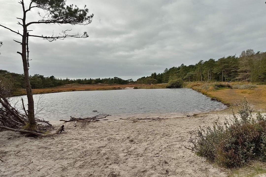 Photo of Others in Kongsmark