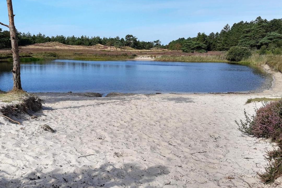 Photo of Others in Kongsmark