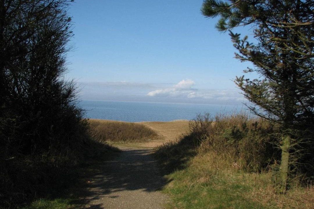 Photo of Others in Skaven Strand