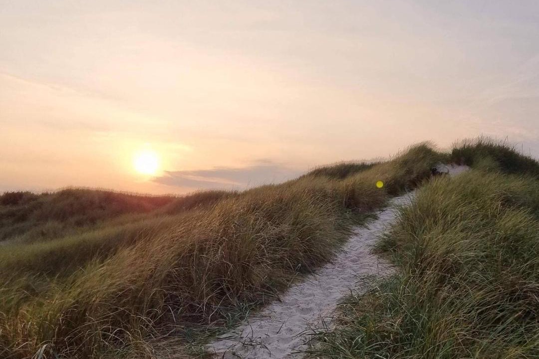 Photo of Others in Grærup Strand