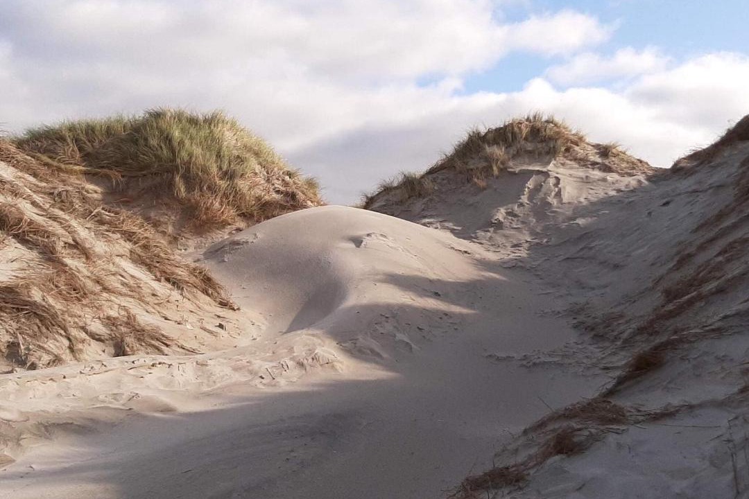 Photo of Others in Grærup Strand