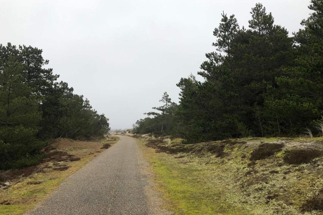 Photo of Others in Grærup Strand