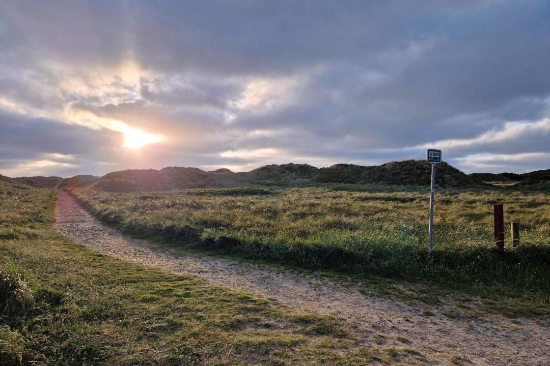 Photo of Others in Vejers Strand