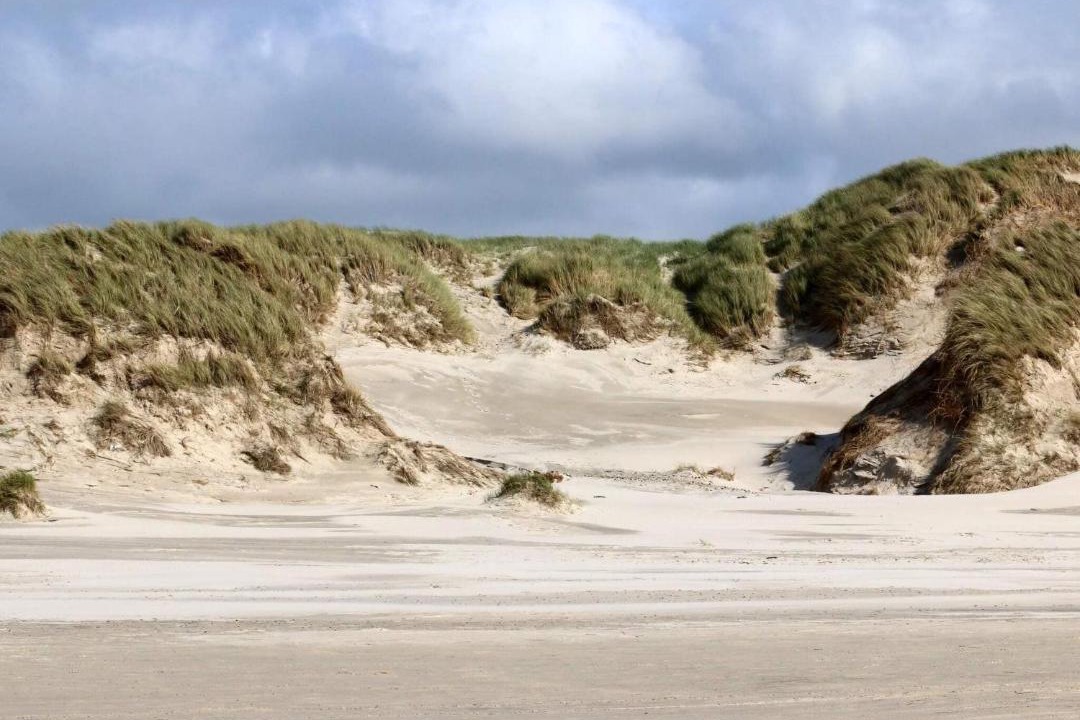 Photo of Others in Henne Strand