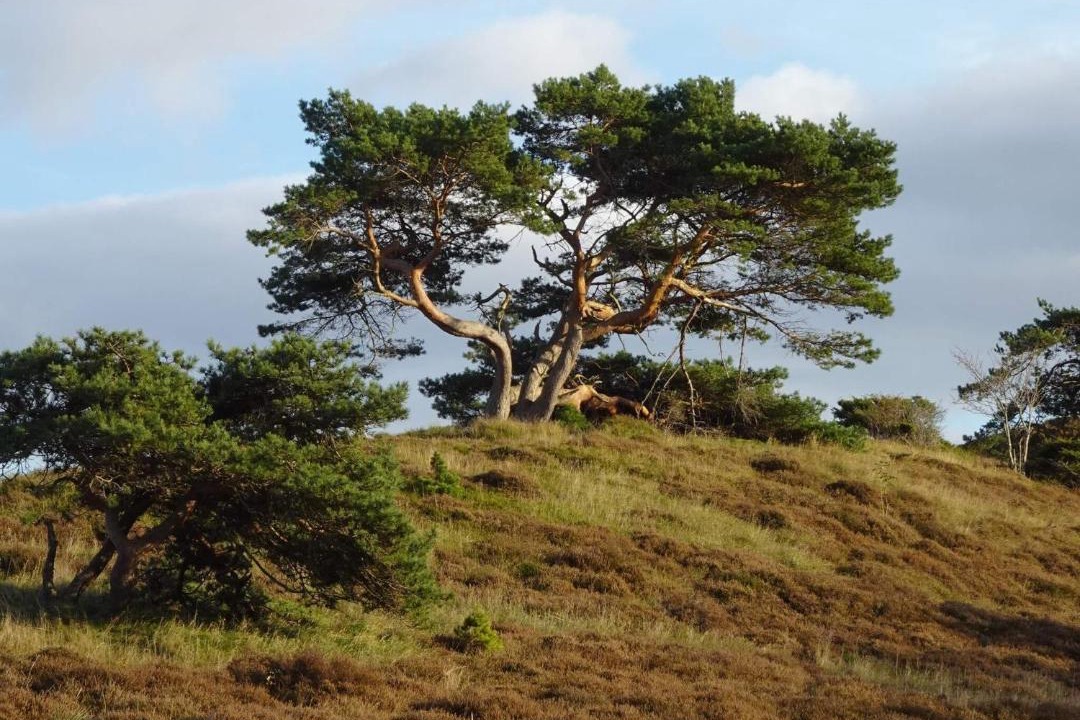 Photo of Others in Vejby
