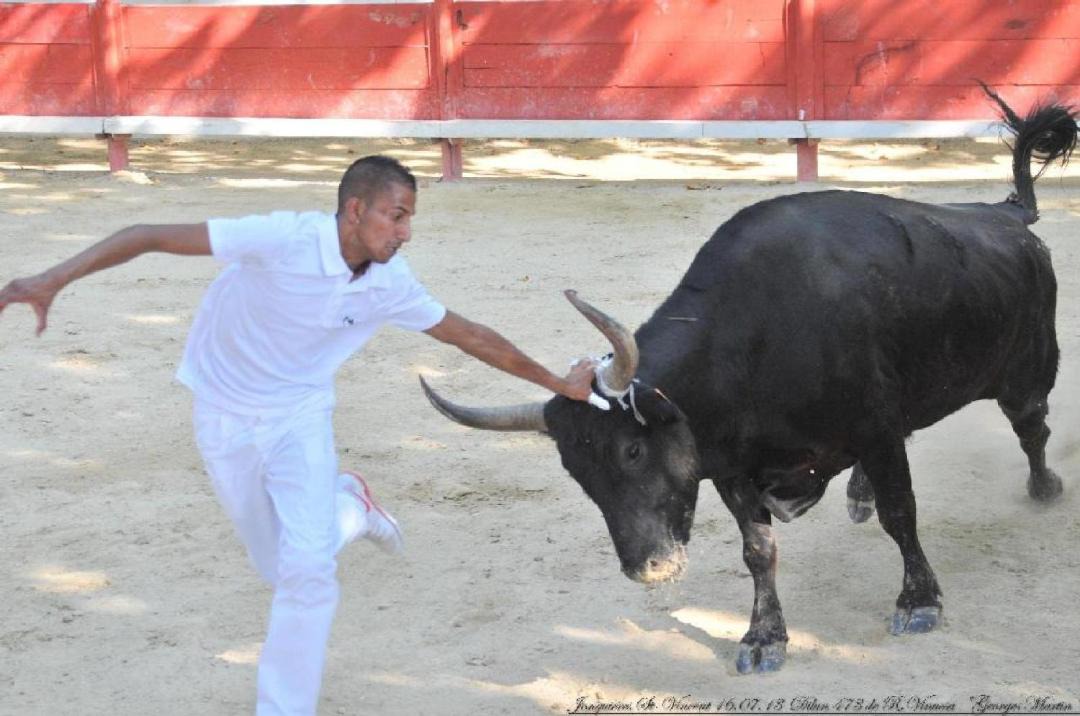 Photo of Human In Picture in Le Cailar