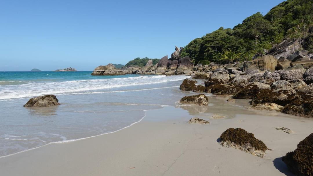 Photo of Others in Bedarra Island