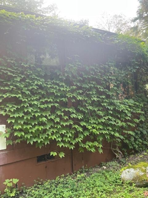 Photo of Others in Marblemount