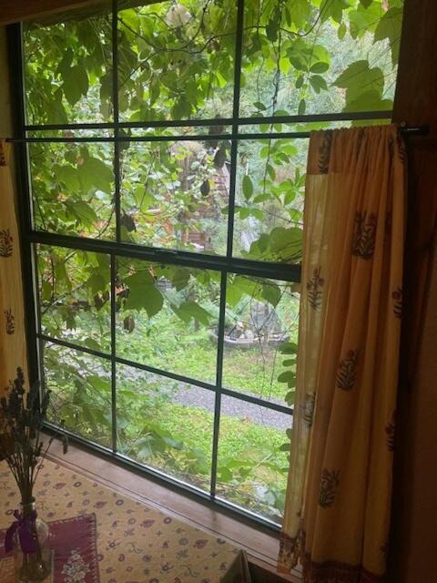 Photo of Others in Marblemount