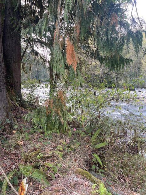 Photo of Others in Marblemount