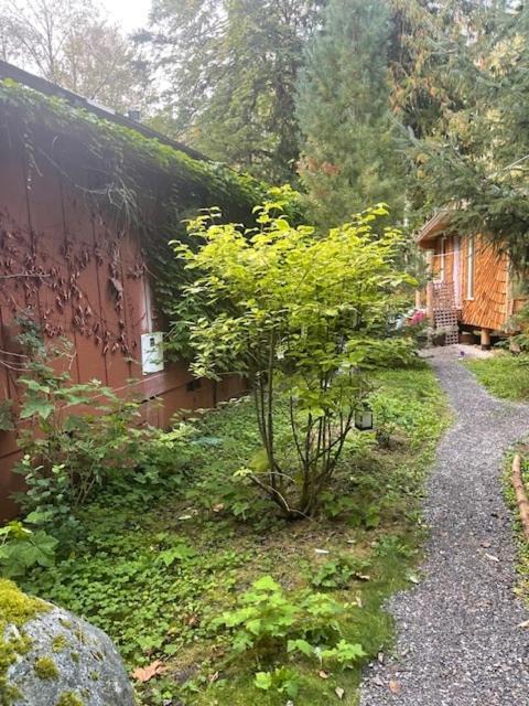 Photo of Others in Marblemount