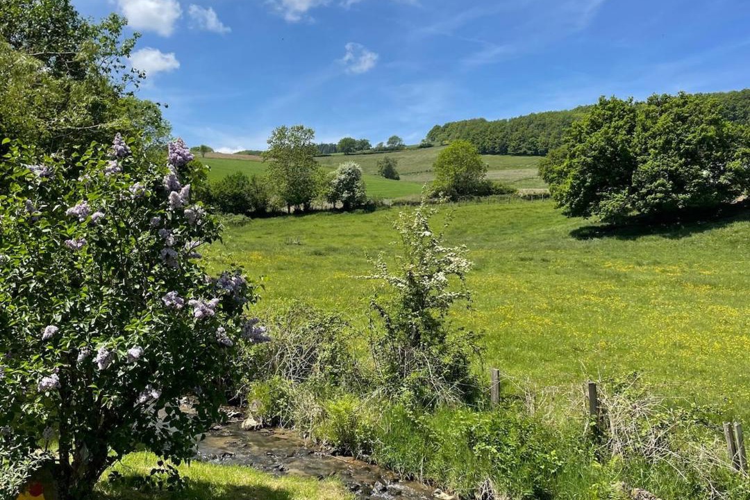 Photo of Others in Larajasse