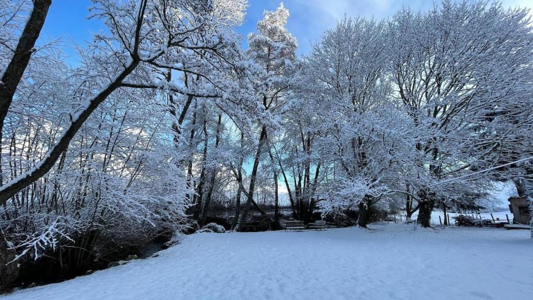Photo of Others in Larajasse