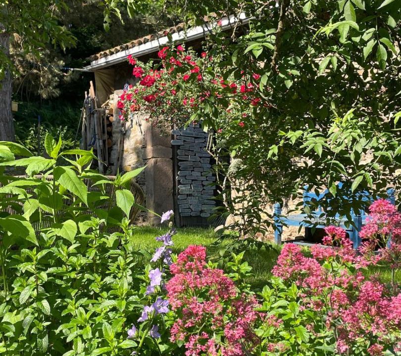 Photo of Others in Larajasse