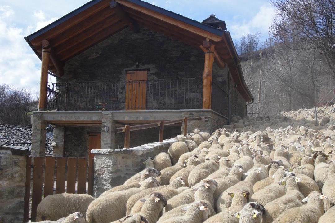 Photo of Others in Serrat