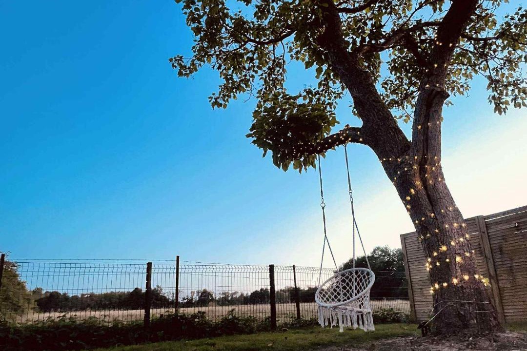 Photo of Others in Landouzy-la-Ville