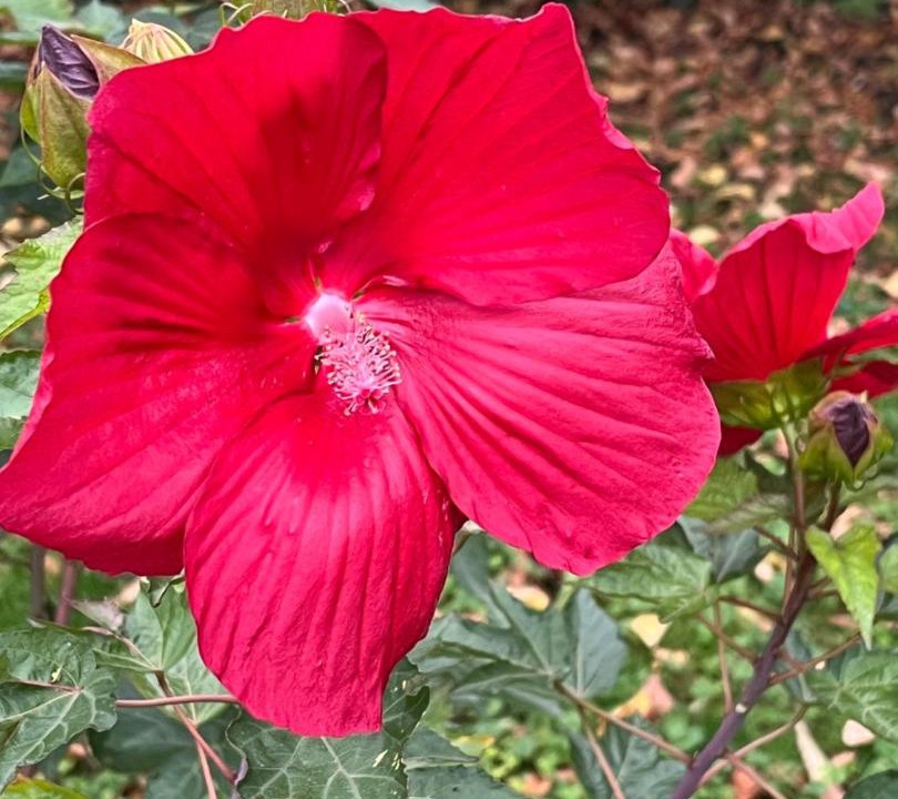 Photo of Outdoor in Vierzon