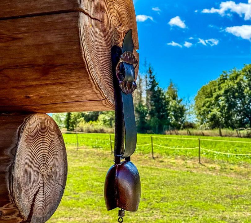 Photo of Others in Moux-en-Morvan